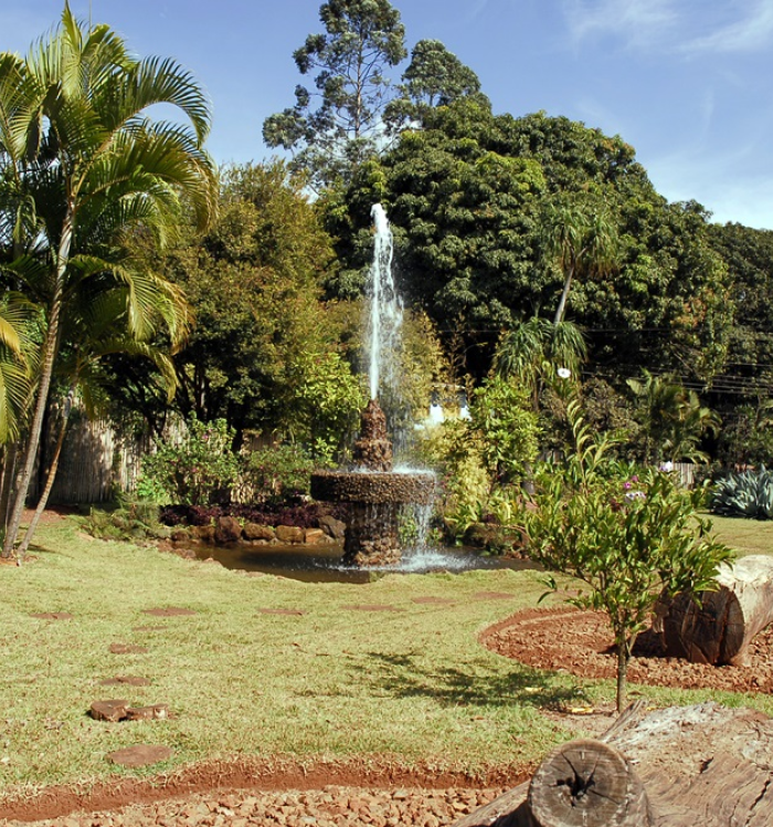 Fonte de água com cenário arborizado do Parque Ecológico Roberto Burle Marx.