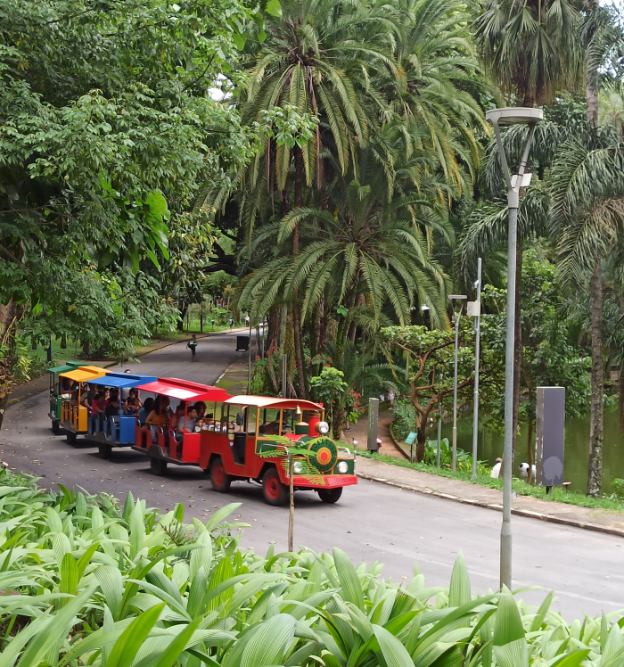 A imagem apresenta o Parque Municipal Américo Renné Giannetti, uma das principais áreas verdes da cidade, ideal para quem busca qualidade de vida e bem-estar próximo de casa. Vista do Parque Municipal de Belo Horizonte com árvores, trenzinho e lago.